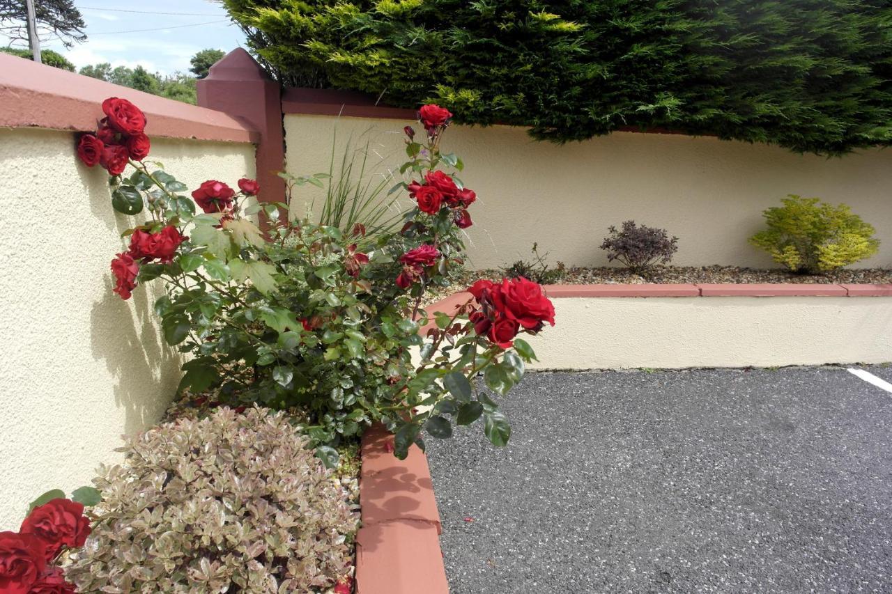 Seacourt Accommodation Tramore - Adult Only Buitenkant foto