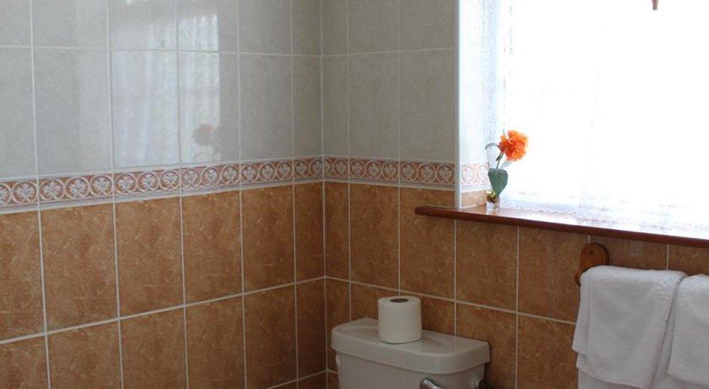 Seacourt Accommodation Tramore - Adult Only Buitenkant foto